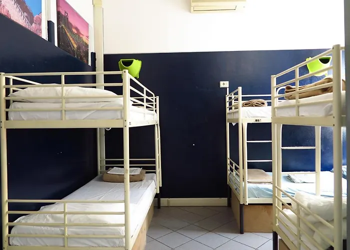 Koala Hostel