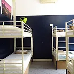 Koala Albergue