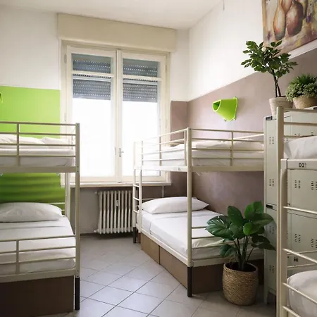 Koala Hostel